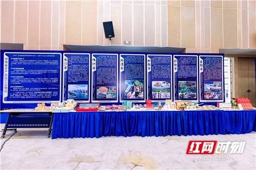 農博現場丨簽約金額超45億，湖南農業招商引資對接會助力中部農產品加工業發展