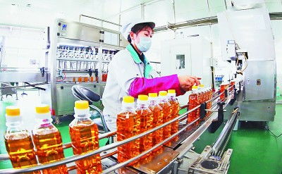 吉林 厚植黑土優勢，賦能農業升級，擘畫現代農業新藍圖