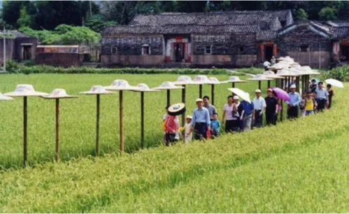 農(nóng)業(yè)為國之根本 洞悉未來農(nóng)業(yè)發(fā)展的五大“小趨勢”