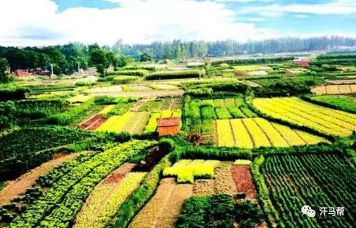 國家級(jí)田園綜合體的十大開發(fā)模式 農(nóng)旅結(jié)合與農(nóng)業(yè)開發(fā)新路徑