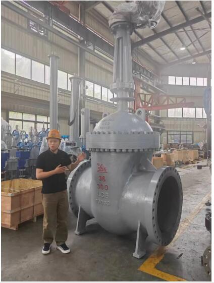 行走閥門江湖數十載！挺宇流體智能化新工廠預計2026年10月投入使用，開啟文化傳播新篇章